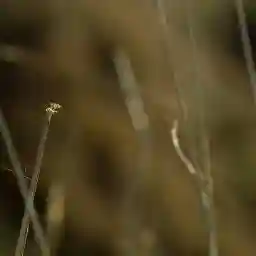 Autumn - World of Colours