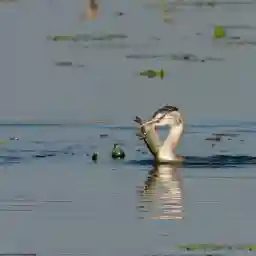 Autumn - World of Colours