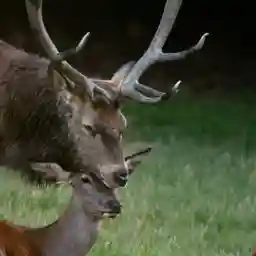 Autumn - World of Colours