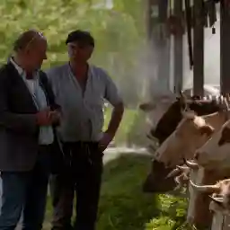 Milk - Facts, Figures & Beliefs