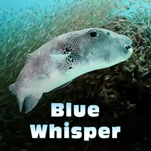 Blue Whisper