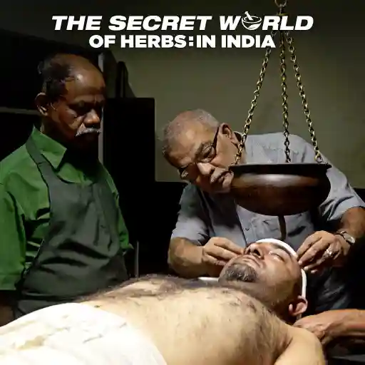 The Secret World of Herbs: In India