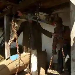 The Secret World of Herbs: In India