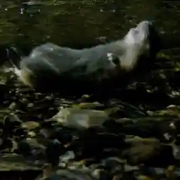 Lemming - The Little Giant of the North