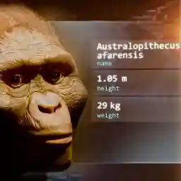 Out of Europe - A New Story of Human Evolution?