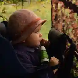 Nais In the land of wolves