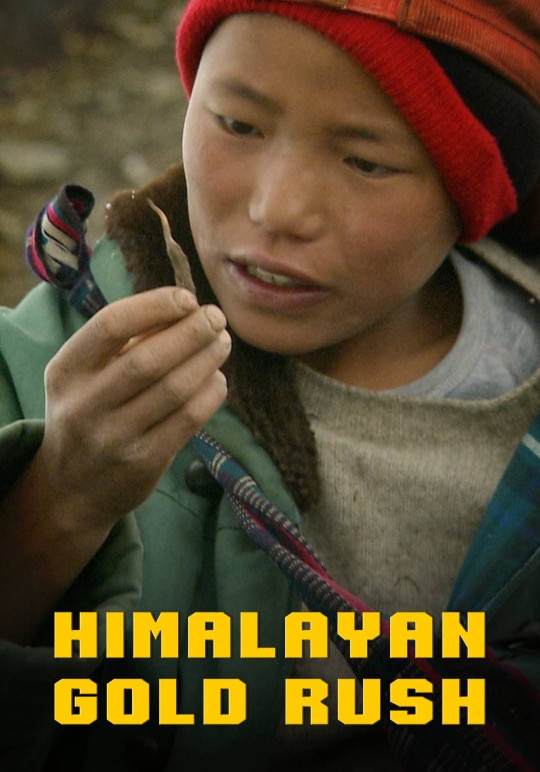 Himalayan Gold Rush