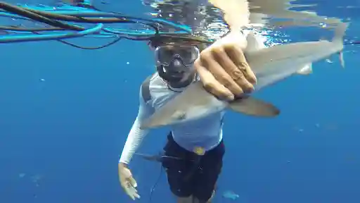 E3. Liquid Edge Episode 3