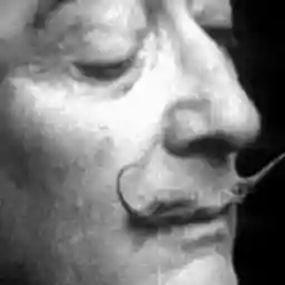 Salvador Dali A Tale Of Two Cities