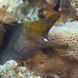 Israel- Salt of the earth: The South