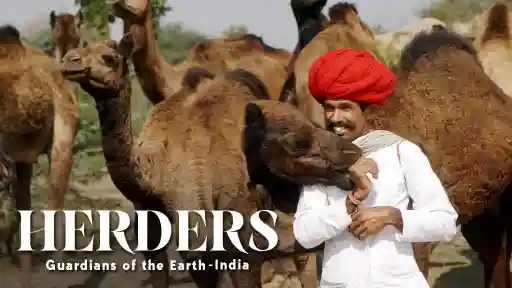 Herders: Guardians Of The Earth- The Camel Herders Of Rajasthan