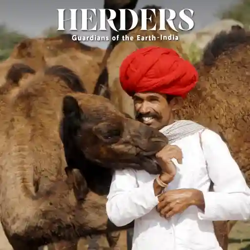 Herders: Guardians Of The Earth- The Camel Herders Of Rajasthan