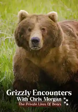 Grizzly Encounters With Chris Morgan: The Private Life Of Bears