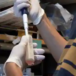 Longevity Biohacking The Ultimate Frontier