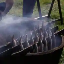 Chef's Diaries: Scotland