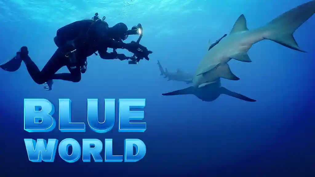 E1. Muck Diving In Philippines