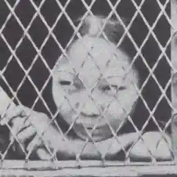 To Climb a Gold Mountain