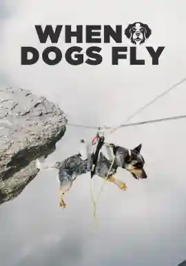 When Dogs Fly