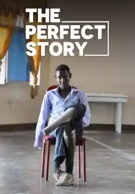 The Perfect Story