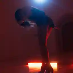 Plastic Fantastic: Need For Perfection