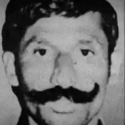 PLANET KILLERS: THE FOREST DESTROYER