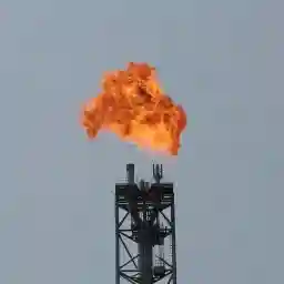 GREENWASHING: THE CLIMATE KILLER