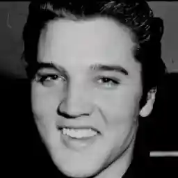 ELVIS: Summer of '56