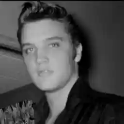 ELVIS: Summer of '56