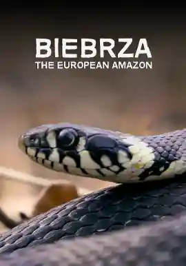 Biebrza: The European Amazon