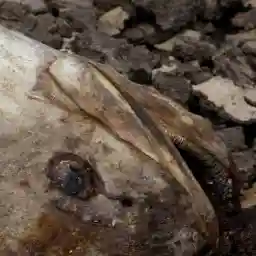 When The River Runs Dry