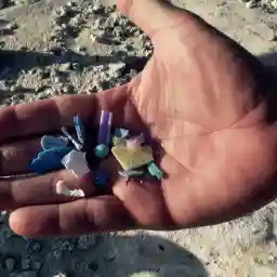 PLASTIC A COLLECTIVE SUICIDE?