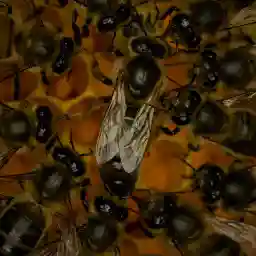 BEES THE INVISIBLE MECHANISM