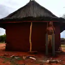 MAMODY THE LAST BAOBAB DIGGER