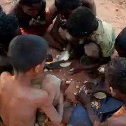 MAMODY THE LAST BAOBAB DIGGER