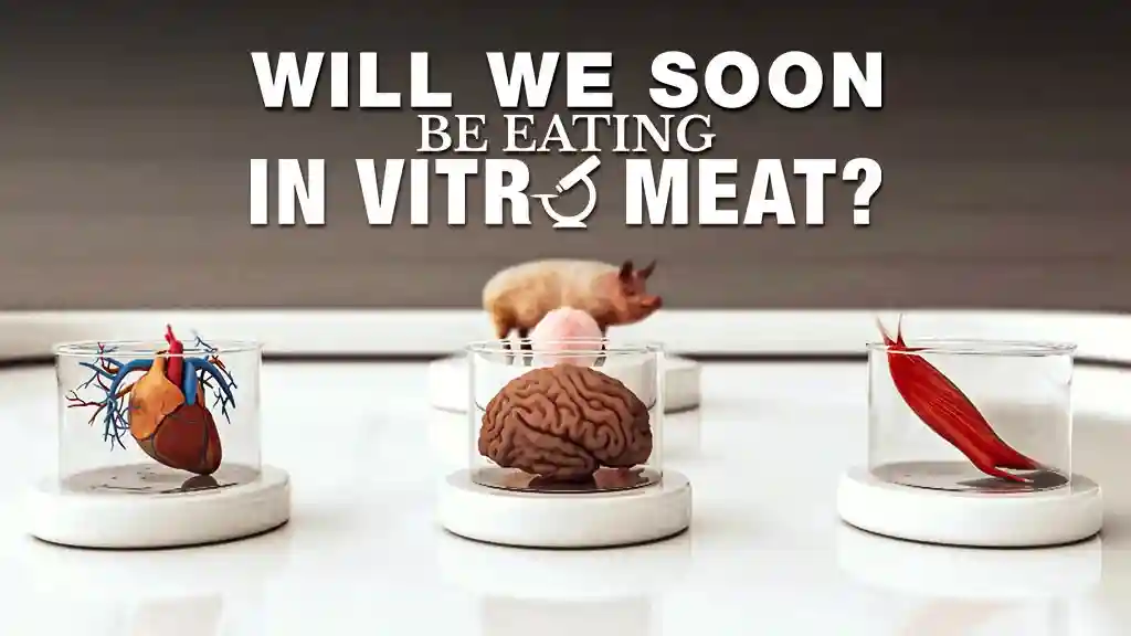 WILL WE SOON BE EATING IN VITRO MEAT?