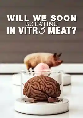 WILL WE SOON BE EATING IN VITRO MEAT?