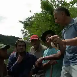 THE UNKNOWN SNAKE OF BOLIVIA