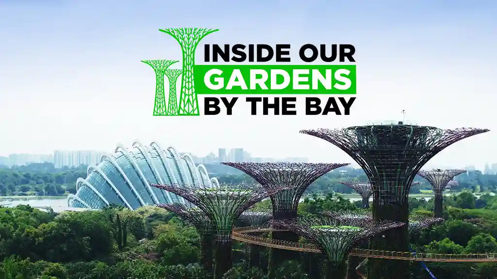 Inside Our Gardens By The Bay
