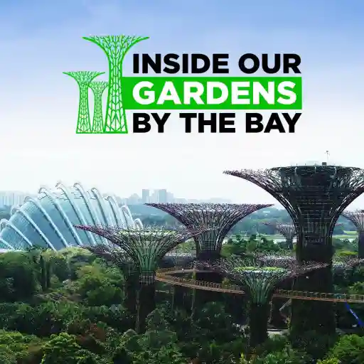 Inside Our Gardens By The Bay