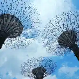 Inside Our Gardens By The Bay