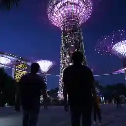 Inside Our Gardens By The Bay
