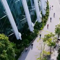 Inside Our Gardens By The Bay