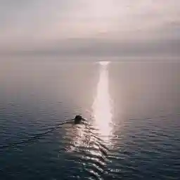 When Hope Breaks Through