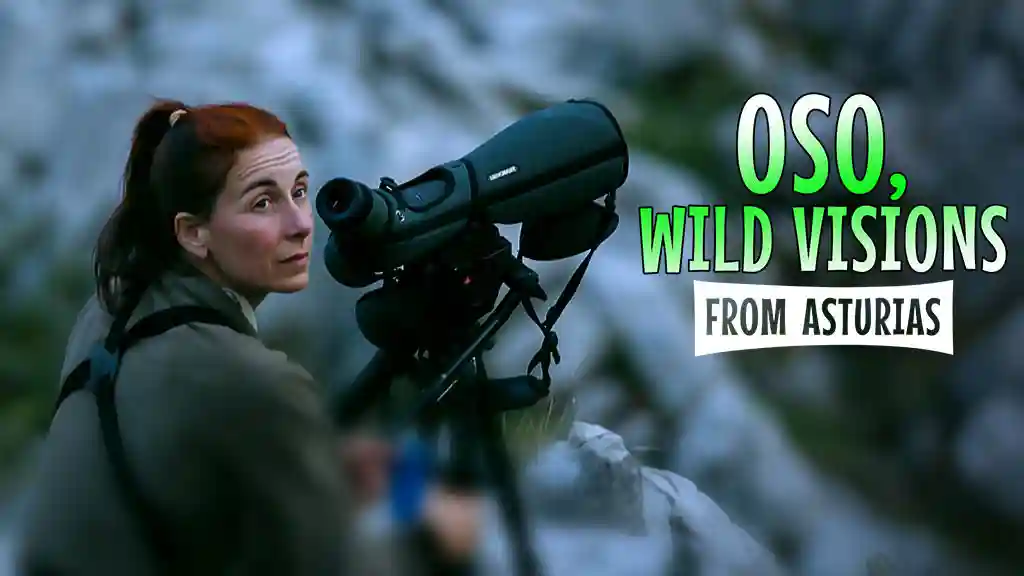 OSO, WILD VISIONS FROM ASTURIAS