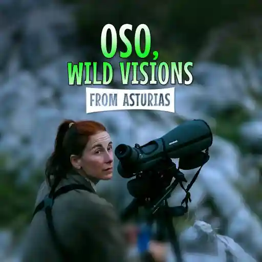 OSO, WILD VISIONS FROM ASTURIAS