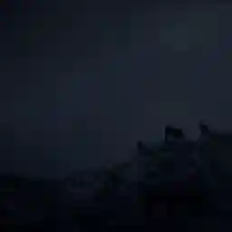 OSO, WILD VISIONS FROM ASTURIAS