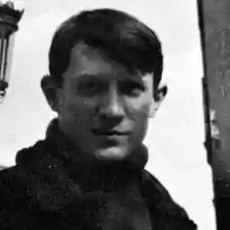 PICASSO METAMORPHOSES IN BLUE AND ROSE