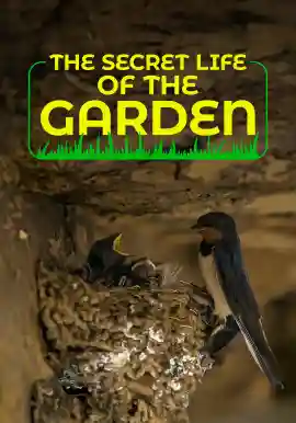 The Secret Life of the Garden