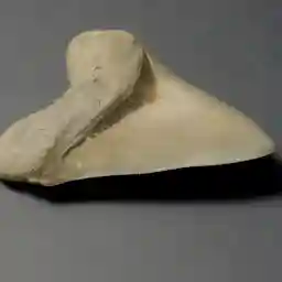 MYSTERIES OF THE LOST GIANTS