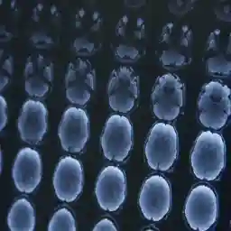 MINDFULNESS: A NEW THERAPEUTIC PATHWAY?